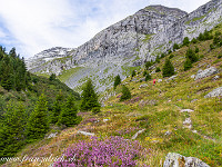 Leicht ansteigend führt der Wanderweg in die Höhe. Das Val Frisal ziert sich noch etwas. : Val Frisal