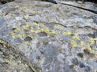 Auf einem luftigen Gratabschnitt wieder Schalensteine ... Meine Erklärung dazu ist eher im Modell des Elektrischen Universums zu suchen (siehe https://elektrobio.ch). Die Kratzspuren unten rechts stammen von Steigeisen - wenn es gefroren ist, geht es nicht ohne ... : Via Alta Verzasca 2025