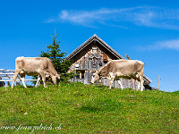 Bei der Oberalp. : Unterschächen, Wannelen, Wäspensee