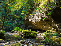 Zusammenfluss des Waldibaches mit einem namenlosen Bach im Chlöpfewald. : Waldibach