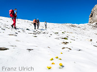 Zuviel Schnee - wir kehren um : OGH Schächentaler Windgällen