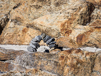 ... vorbei an einem wahren Kunstwerk.