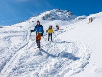 Im Pulverschnee geht es rassig abwärts. : OGH, Schneeschuhtour Winterhorn 2026