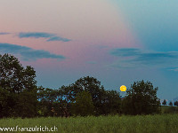 Soeben ist der goldene Vollmond aufgegangen, während die letzten zarten Rosatöne langsam dem Nachthimmel Platz machen. : Himmel, Vollmond