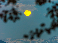 Vollmond über Ottenhusen und Schwyzer Alpen. : Berge, Ottenhusen, Vollmond