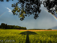 Wunder der Natur - und das soll Zufall sein? : Regenbogen Hohenrain