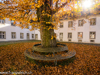 Im Kloster Einsiedeln. : Einsiedeln, Rothenthurm