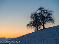 Abendstimmung in Hohenrain. : Winter Hohenrain