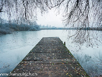 Steg am Gütschweiher : Ballwil, Gütschweiher, Herbst, See, Seetal, Steg, Weiher