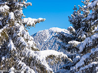 Die tief verschneite Haglere im Entlebuch. : Berg, Haglere, Schnee, Tannen, Winter, verschneit