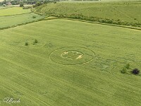 Entdeckt am 15. Mai 2025, Sutton Veny, Wiltshire, England. Mehr über Kornkreise siehe unsere Website https://kornkreiseschweiz.ch  default : Kornkreis Warminster Wiltshire