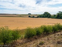 Entdeckt am 14. Juli 2026, bei Avebury, Wiltshire, England. : England 2026