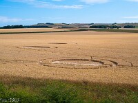 Kornkreis bei Avebury. : England 2026