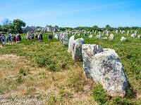 2023-07-07 21 Bretagne 800 FU2 5738 : Bretagne 2023