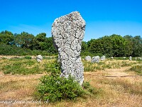 2023-07-07 21 Bretagne 800 FU2 5743 : Bretagne 2023