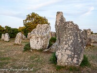 2023-07-07 21 Bretagne 800 FU2 5763 : Bretagne 2023