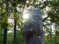 2023-07-07 21 Bretagne 800 FU2 5823 : Bretagne 2023