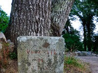 2023-07-07 21 Bretagne 800 FU2 5824 : Bretagne 2023