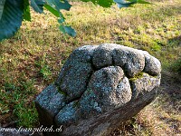 2023-07-07 21 Bretagne 800 FU2 5839 : Bretagne 2023