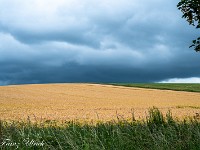 2025-06-22 UK2025 800 FUL2836 : Avebury
