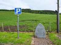 2025-06-17 UK2025 800 FUL2546 : Culzean, Electric Brae, Ullswater