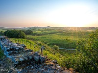 2025-06-10 UK2025 800 FUL1972 : Hadrian's Wall, Haltwhistle