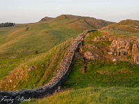 2025-06-10 UK2025 800 FUL1984 : Hadrian's Wall, Haltwhistle