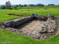 2025-06-11 UK2025 800 FUL1994 : Devils Pulpit, Sycamore Gap, Vindolanad
