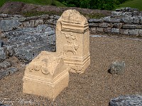 2025-06-11 UK2025 800 FUL2013 : Devils Pulpit, Sycamore Gap, Vindolanad