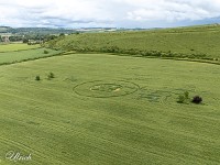 2025-06-05 UK2025 800DJI 20250605165114 0052 D SU  default : Kornkreis Warminster Wiltshire