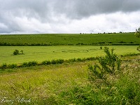 2025-06-05 UK2025 800 FUL1533 : Kornkreis Warminster Wiltshire