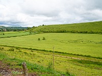 2025-06-05 UK2025 800 FUL1538 : Kornkreis Warminster Wiltshire