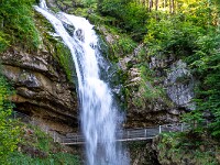 20200809 11 Giessbach 800  FU1 4139 : Giessbach