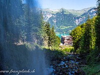 20200809 11 Giessbach 800  FU1 4309 : Giessbach