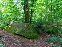 2024-07-05 Megalithweg + Verenaschlucht Solothurn 800  FUL0600 : Megalithweg, Solothurn, Verena-Schlucht