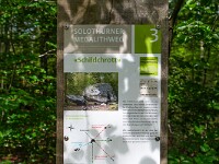 2024-07-05 Megalithweg + Verenaschlucht Solothurn 800  FUL0605 : Megalithweg, Solothurn, Verena-Schlucht