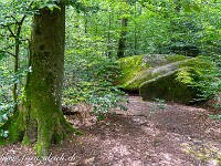 2024-07-05 Megalithweg + Verenaschlucht Solothurn 800  FUL0630 : Megalithweg, Solothurn, Verena-Schlucht
