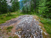 Schalensteine Arsiert. : Engadin