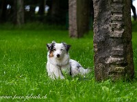 2024-06-14 St. Peters-Insel 800  FUL0583 : St. Peters-Insel