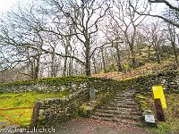 In Nant Gwynant startet auch der Watkin Path, ein Wanderweg auf den Snowdon. Die alten Bäume (Eichen) sehen auch ohne Blätter mystisch aus. Förmlich spürt man die Waldfeen und Elementalwesen. : Ely, Nant Gwynant