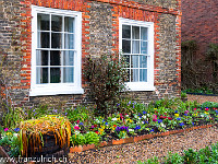 Der Frühling steht auch in England vor der Tür - und wächst unter dem Fenster. Der Kurztrip war wunderbar - ich komme bestimmt wieder! : Ely, Nant Gwynant