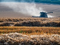 Auch in England kann dank der Wärme und den vielen Sonnenstunden die Ernte früh eingefahren werden. : England 2026