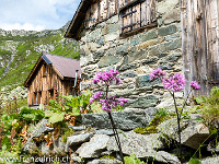 Alp Felleli. : Etzlihütte Praktikum Hüttenwartskurs