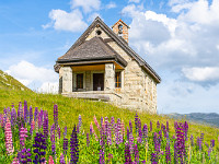 Kapelle und Lupinenfeld beim Tiefenbach, Furkapass. : Grimsel-Gletsch-Furka