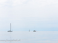 Himmel und Wasser verschmelzen. : Genfersee