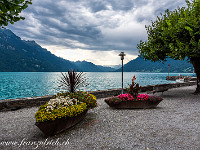 Brienzersee. : Giessbach