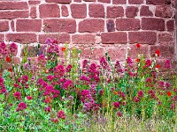 Wenn einer eine Reise tut, so kann er was erzählen. Im Juni 2025 war ich mit dem Campervan unterwegs in England und Schottland. Von meinen Erlebnissen möchte ich hier berichten ... : Saint-Jean Saverne