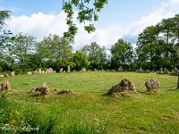 Am anderen Morgen mache ich bei den nahegelegenen Rollright Stones Halt. Hier wurden verschiedentlich Anomalien gemessen, so z. B. erhöhte Radioaktivität.