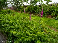 Das Wetter ist durchzogen, aber das Schöne ist, dass der Regen sich nur schauerartig zeigt und es viele trockene Abschnitte gibt. : Old Man of Coniston