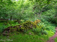 Anderntags ist Regen angesagt und ich mache einen kleinen Abstecher zum See; der Regen setzt erst ab dem Mittag ein. : Wast Water Wasdale